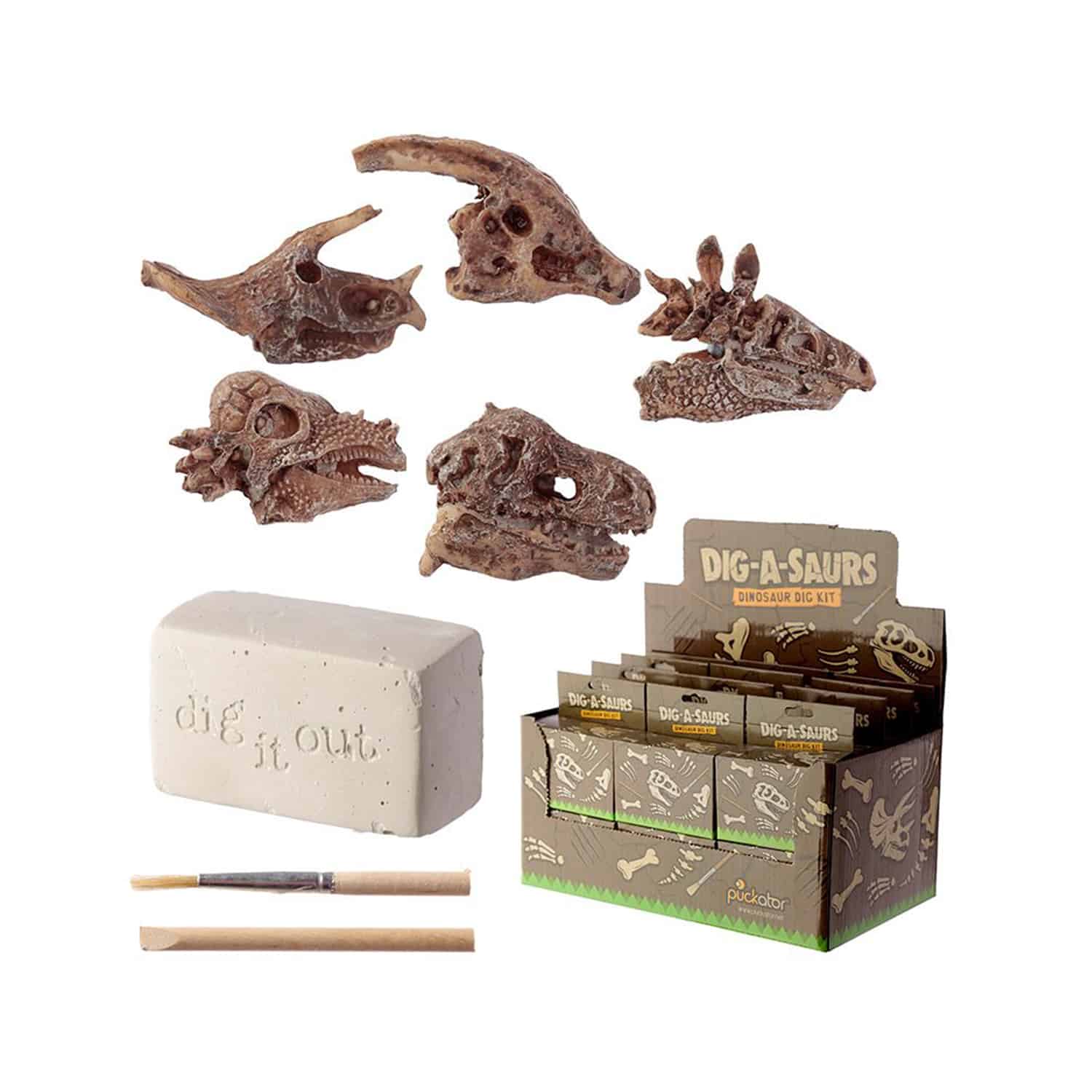 Rawr Dinosaur Skull Fossil Dig-A-Saurs Dig it Out Kit
