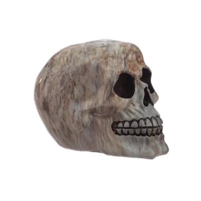 Marble Effect Skull