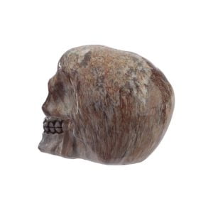 marble-effect-skulll