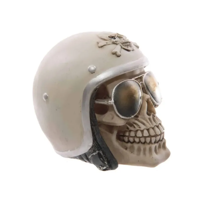 Skull with Helmet and Sunglasses