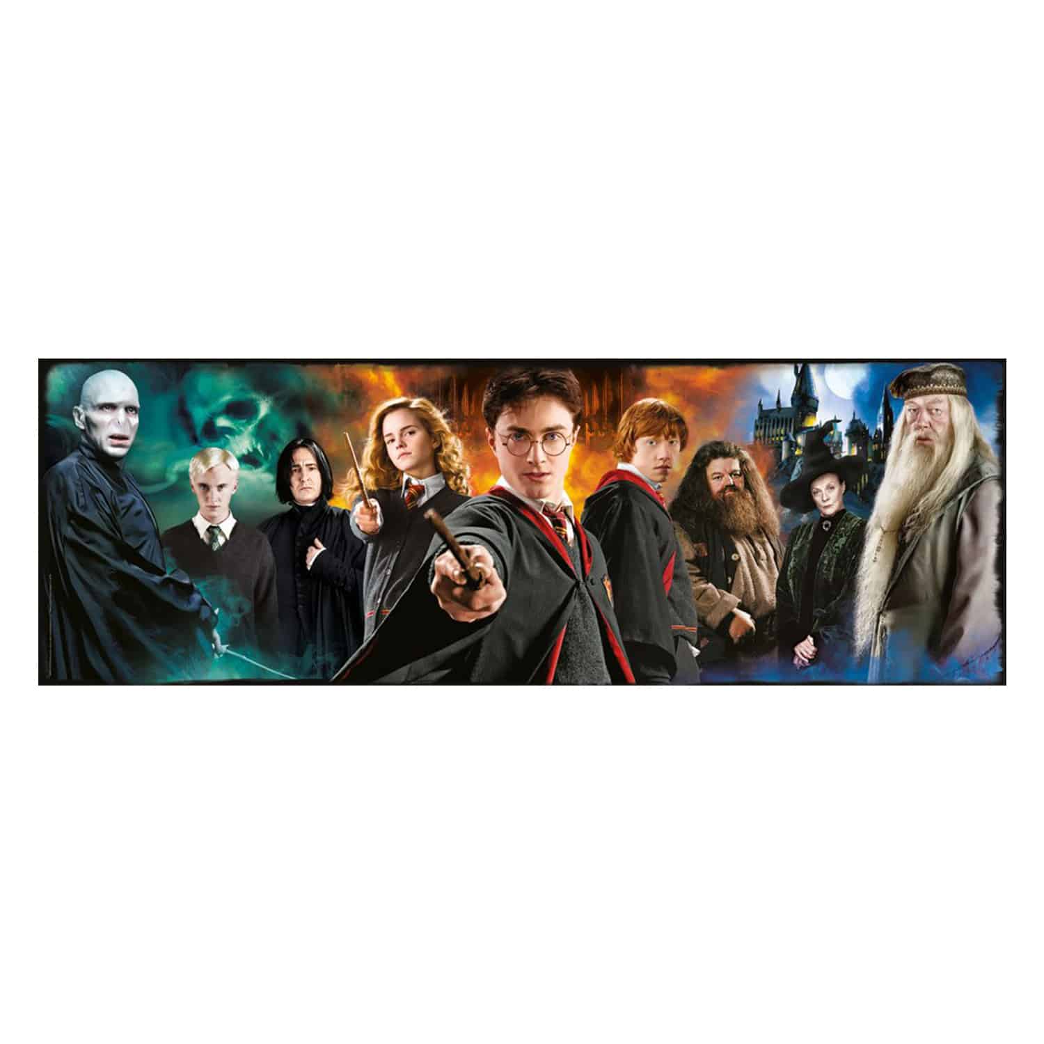Harry Potter - Characters Panorama Puzzle 1000pcs